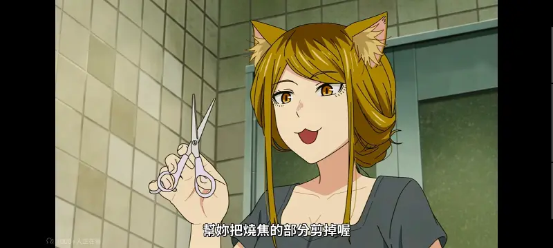 尼古喵喵,雅尼猫,动画,动漫,番剧,日漫,二次元,ACG