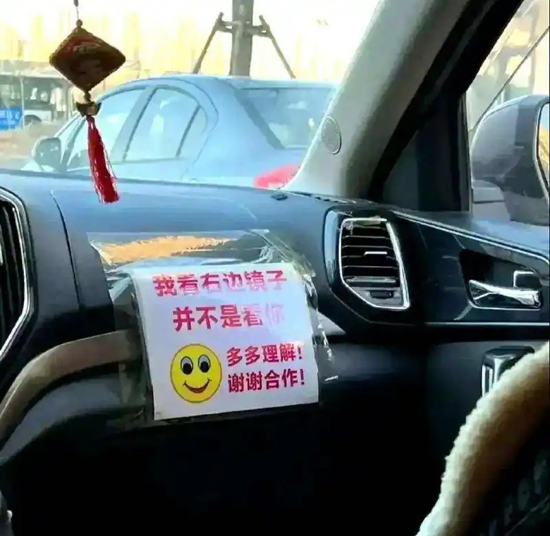 请找出图一的猫猫