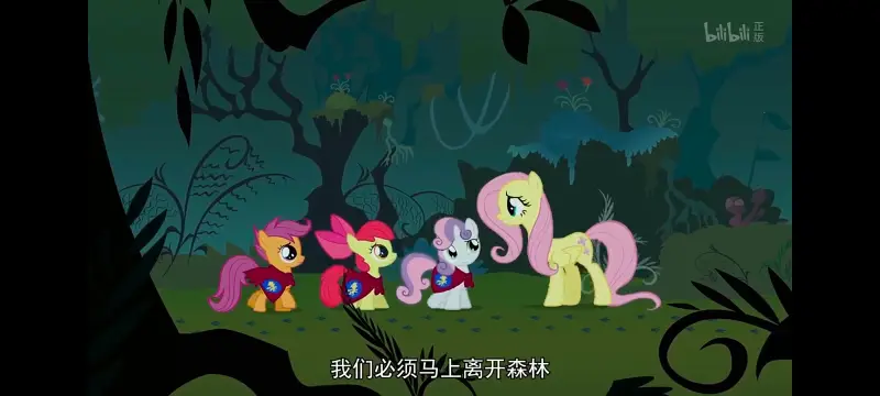 小马宝莉,小马宝莉友谊魔法,动画,动漫,番剧,ACG,彩虹小马,我的小马驹