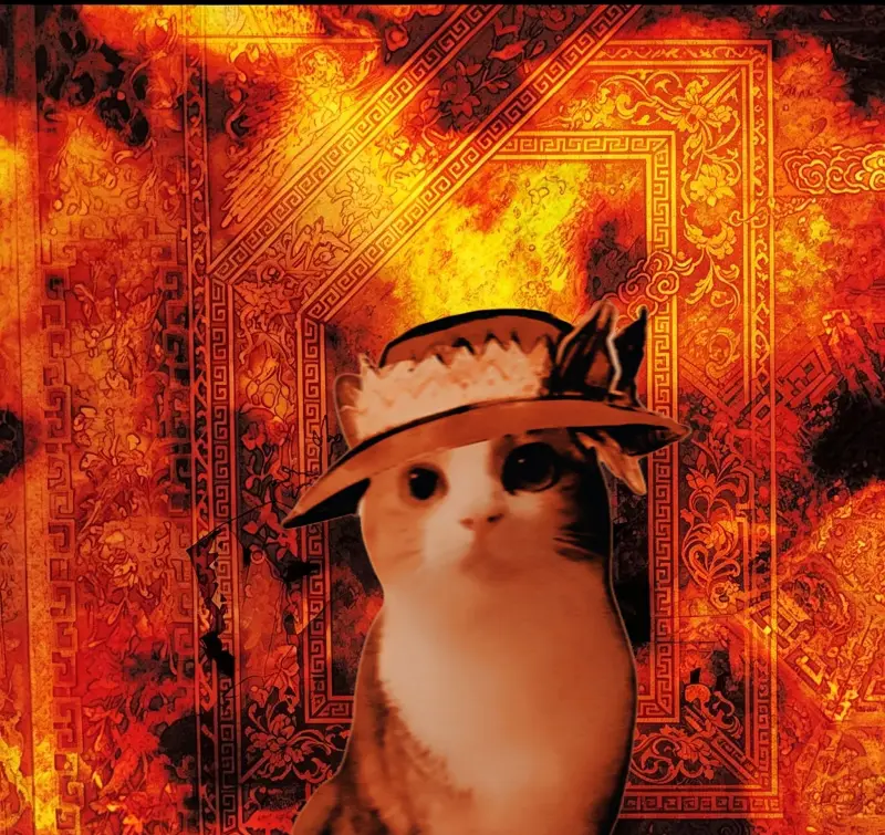 用猫的方式打开《蓬莱人形》的故事