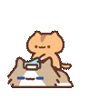 表情包,月薪喵,猫咪表情包,猫meme,哈基米