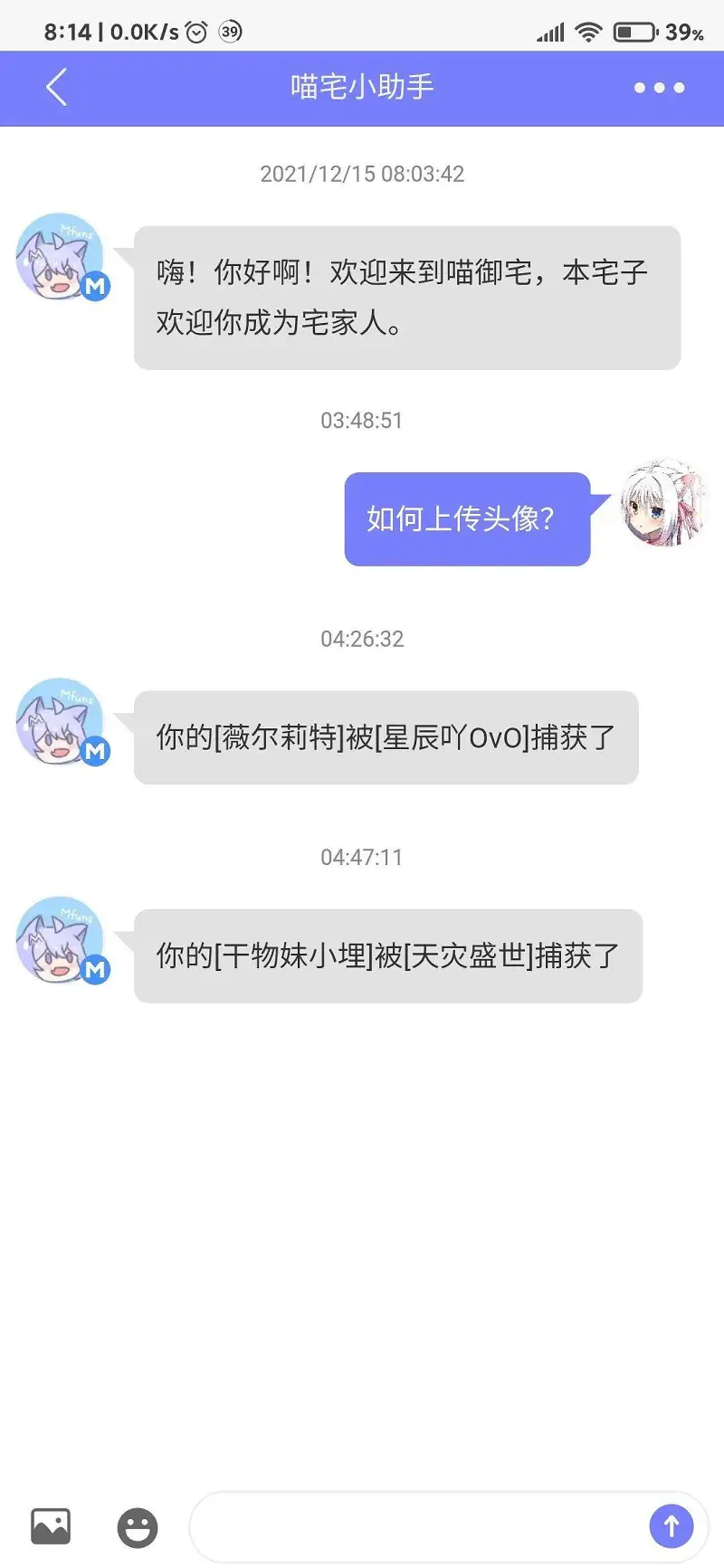 闲聊茶馆,宠物