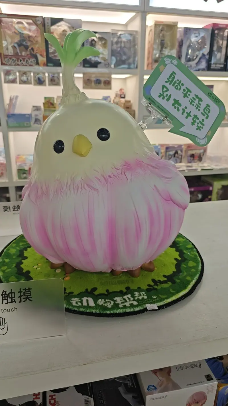 不知梦