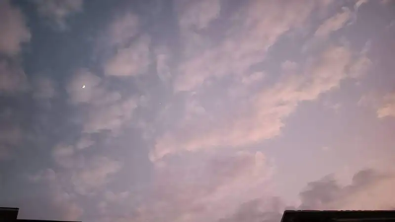紫色天空，SUKI