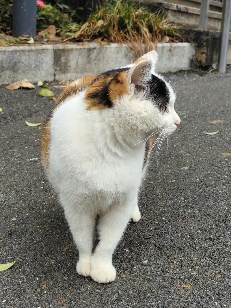 水一下