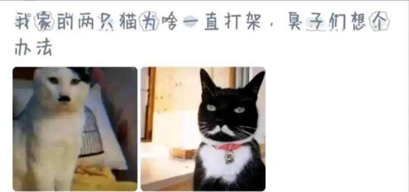 闲聊茶馆