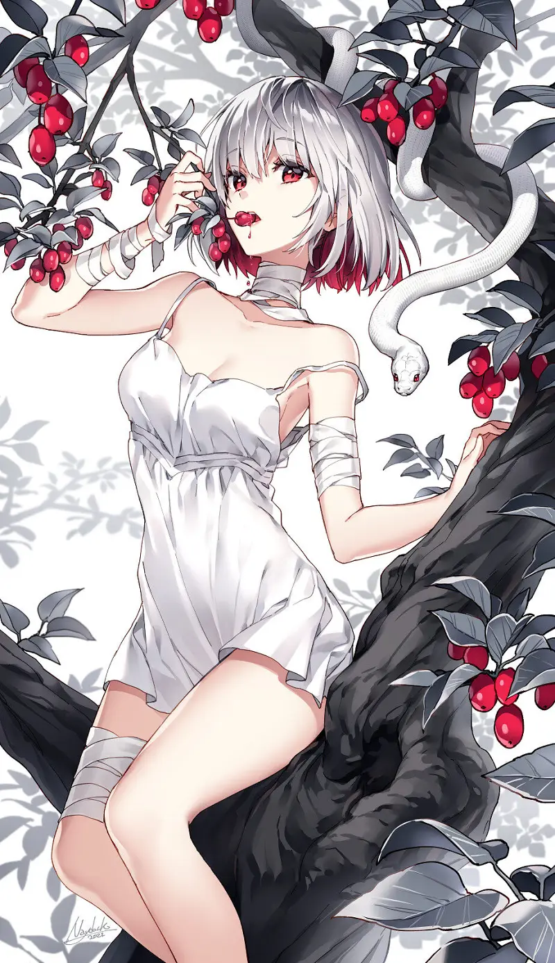 闲聊茶馆,美图,M站美图