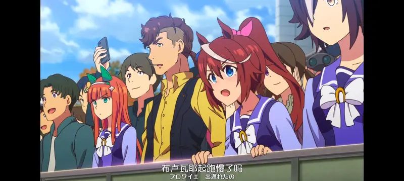 赛马娘,赛马娘PrettyDreby,动画,动漫,番剧,ACG