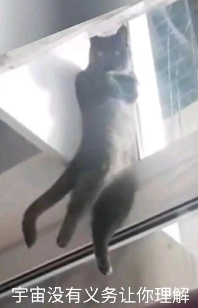 逗图,弔图,搞笑,趣图