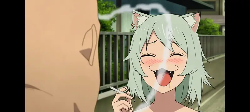 雅尼猫,尼古喵喵,动画,动漫,番剧,二次元,日漫,ACG