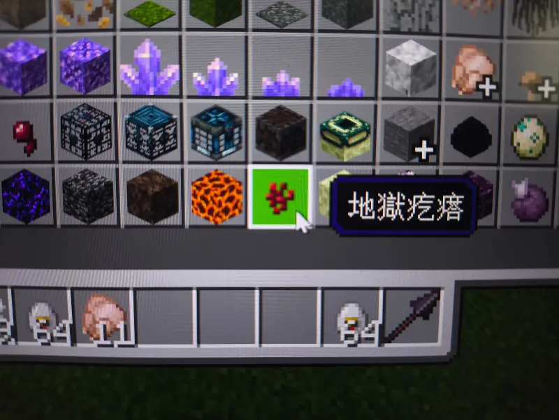 我的世界,翻译