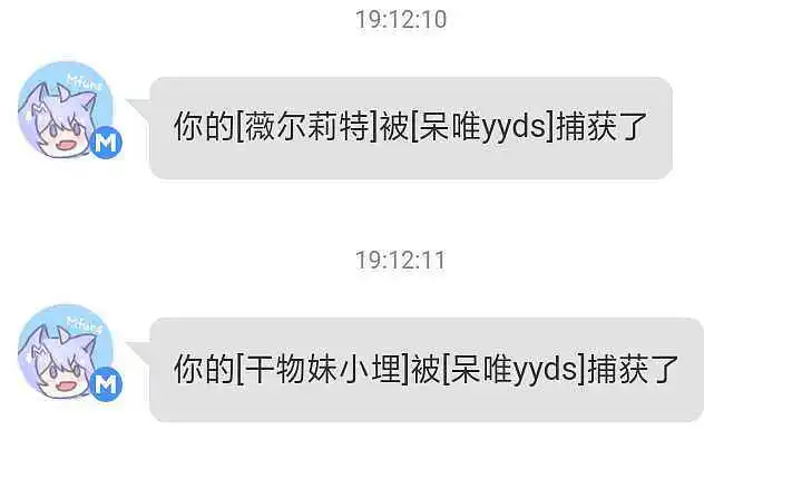 被偷蛋