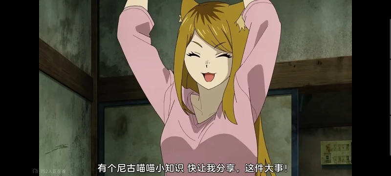 尼古喵喵,雅尼猫,动画,动漫,番剧,二次元,ACG,日漫