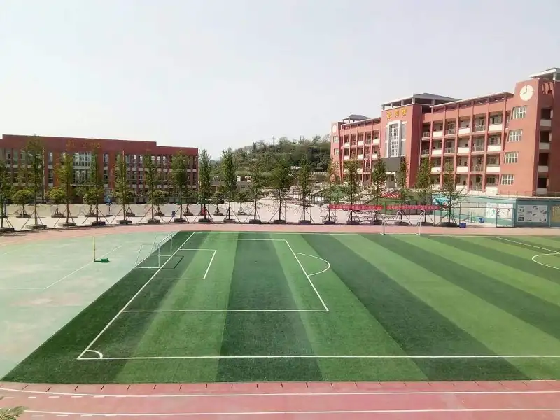 闲聊茶馆,新人