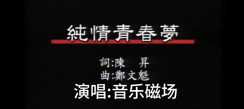 音乐磁场(孙建平&Sweet Sytle) 纯情青春梦(闽)
