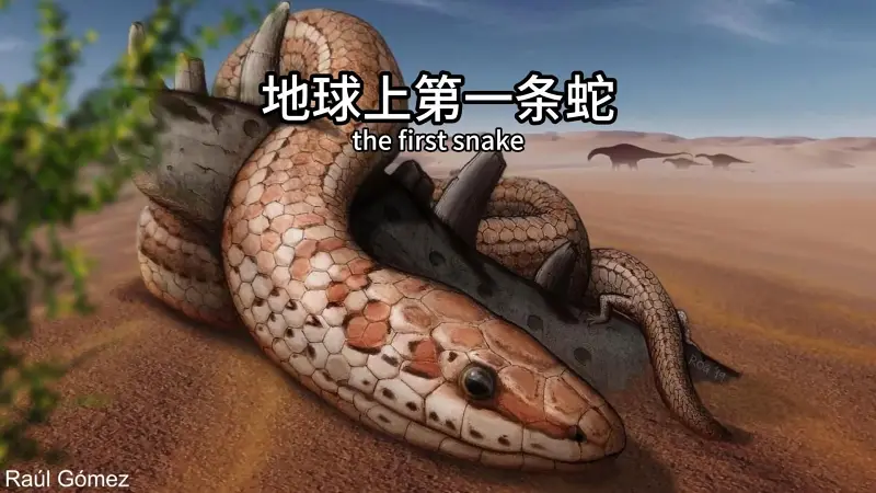 地球上第一条蛇是什么时候出现的？
