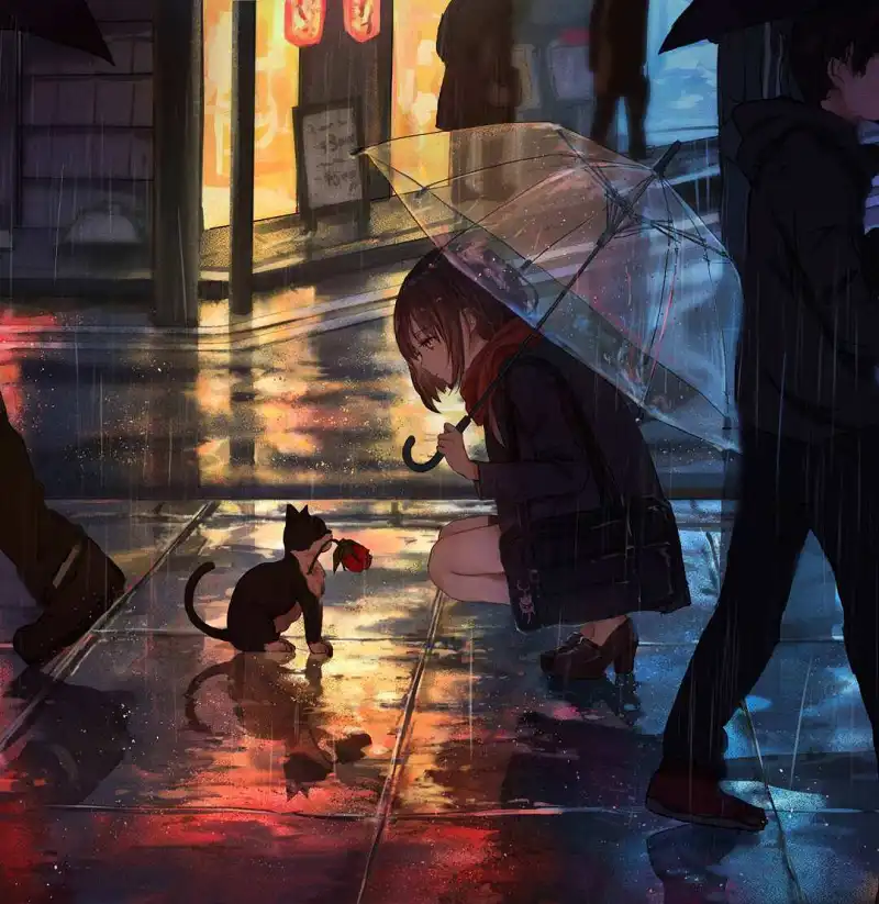 这种雨景看着好有感觉