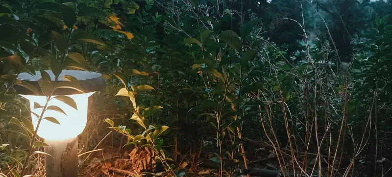 诗词,五言律诗,小小打油诗