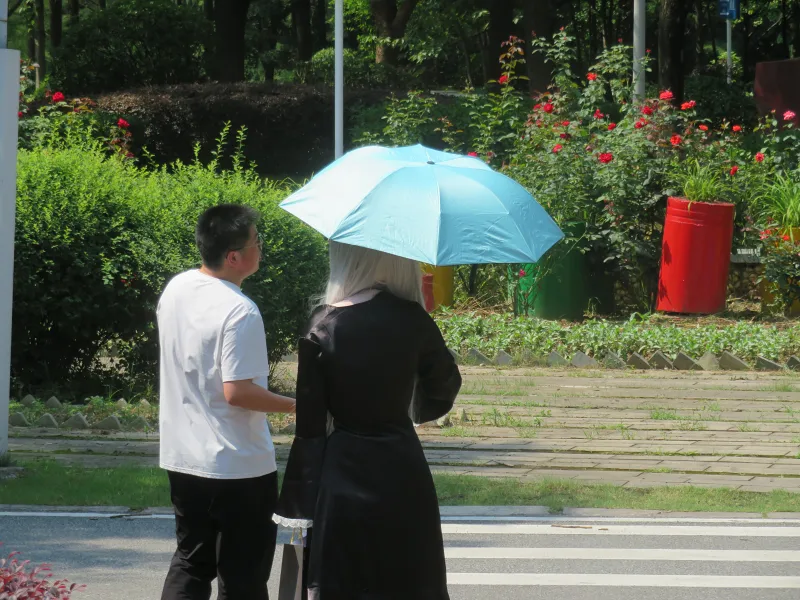 碧蓝档案