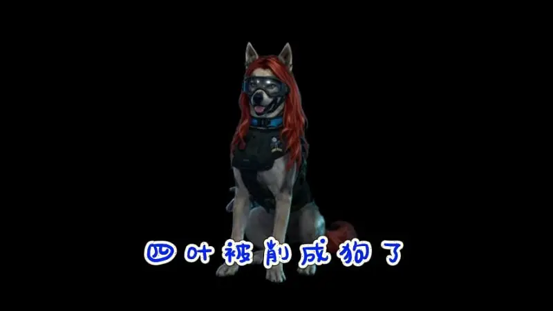 10月15日 (1)(1)