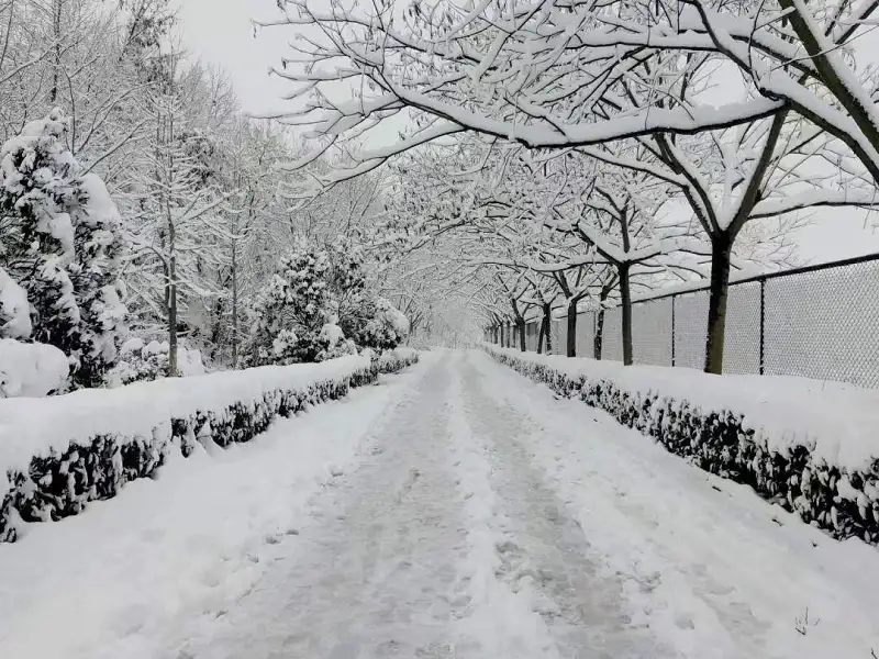 都在发下雪？我也来发下