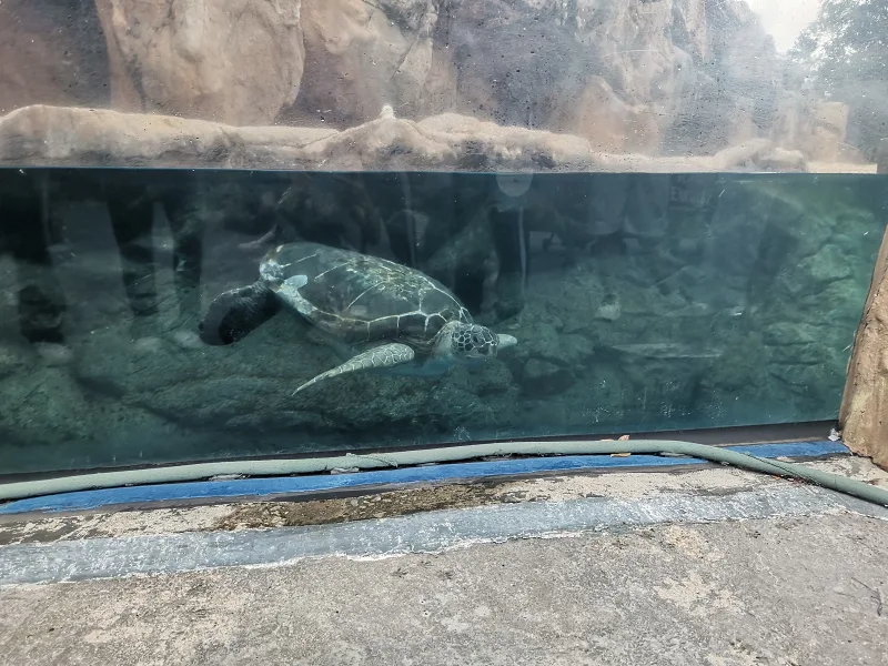 俱往矣