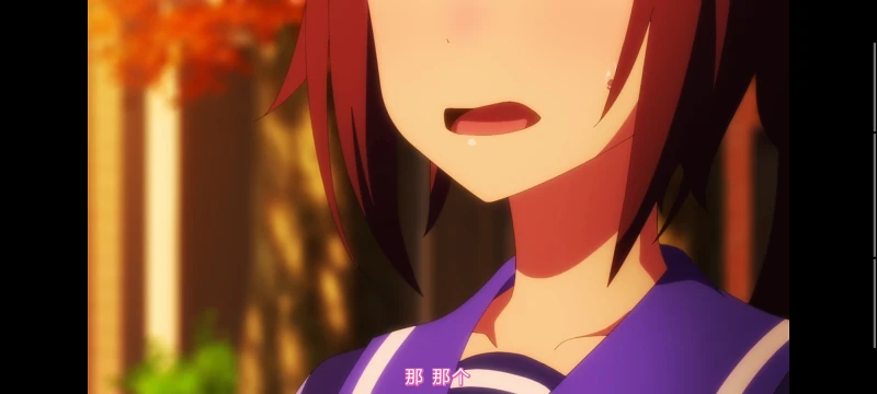 赛马娘,赛马娘第二季,动画,动漫,番剧,二次元,ACG