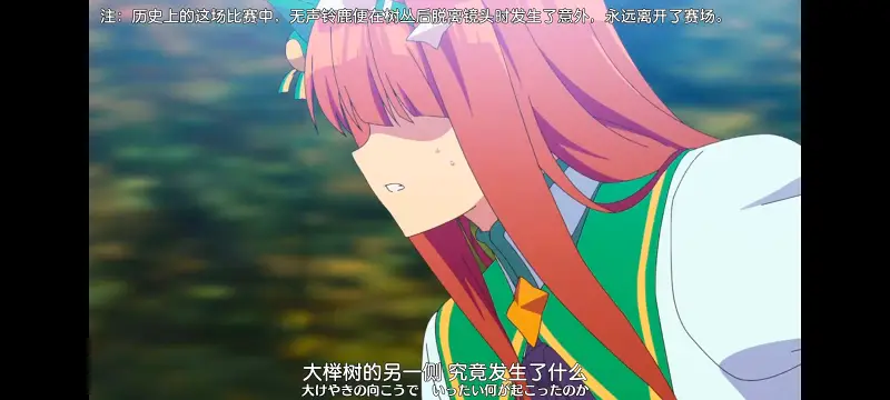 赛马娘,赛马娘PrettyDreby,动画,动漫,番剧,ACG