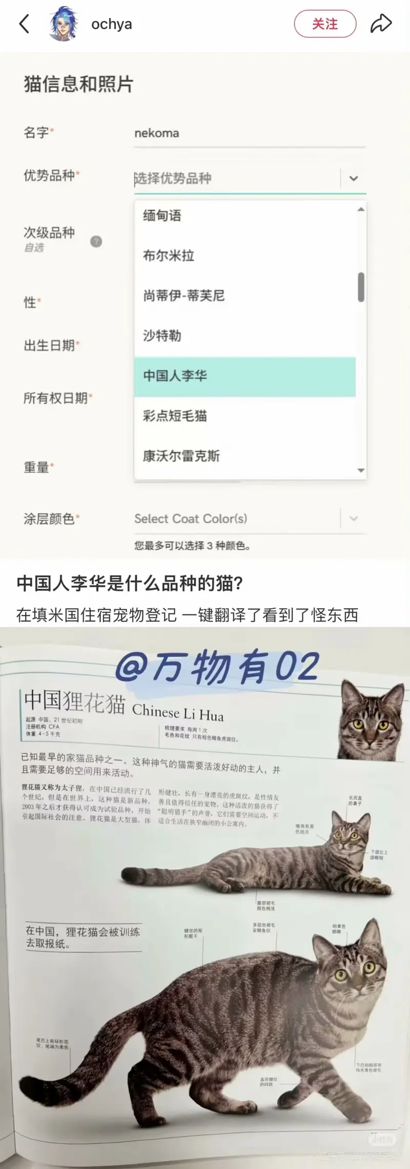 梗图