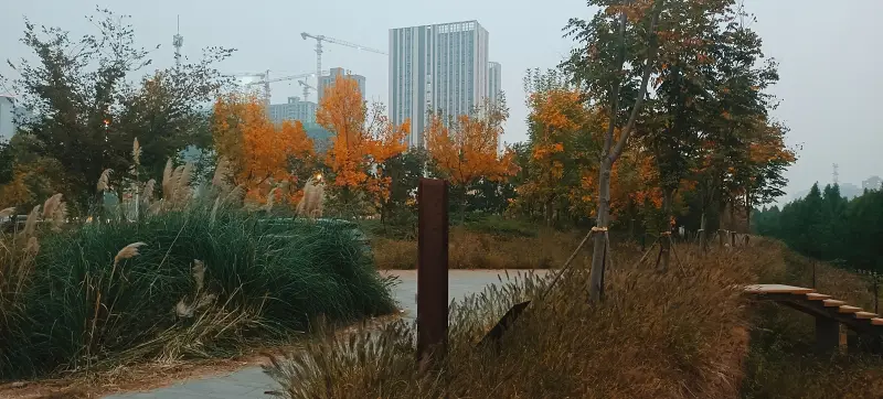 诗词,五言律诗,小小打油诗