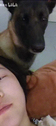 梗图,meme,动图,GIF,亓才孑