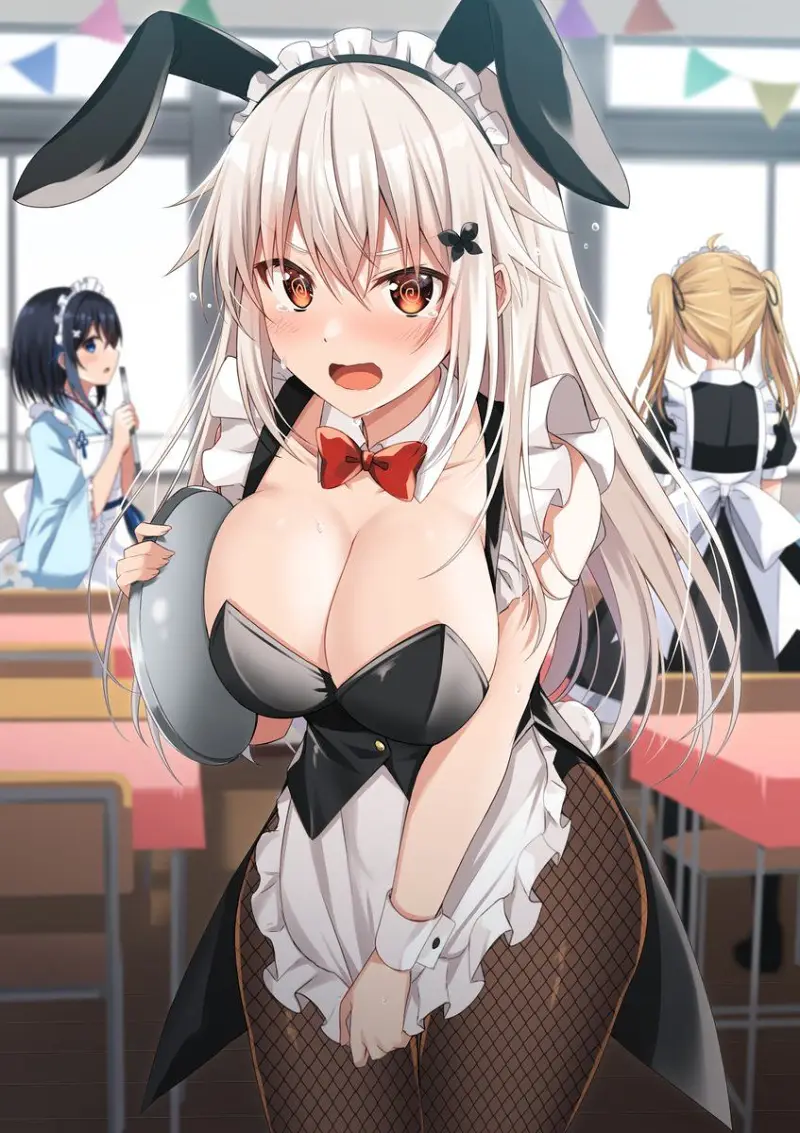 兔女郎,涩图