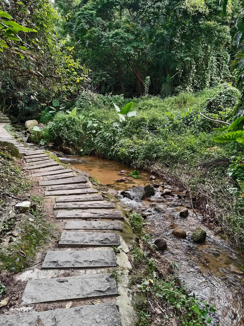 登山,阳台山,羊台叠翠