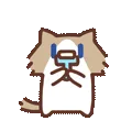 表情包,月薪喵,猫咪表情包,猫meme,哈基米