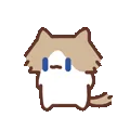 表情包,月薪喵,猫咪表情包,猫meme,哈基米