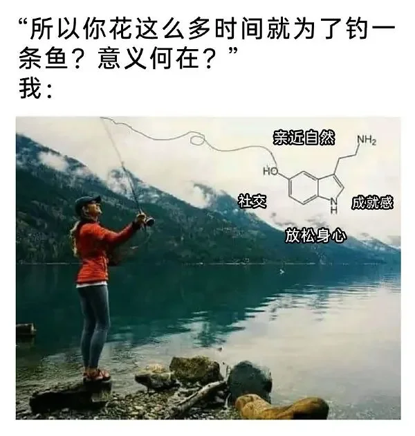 逗图,吊图,趣图,搞笑,弔图