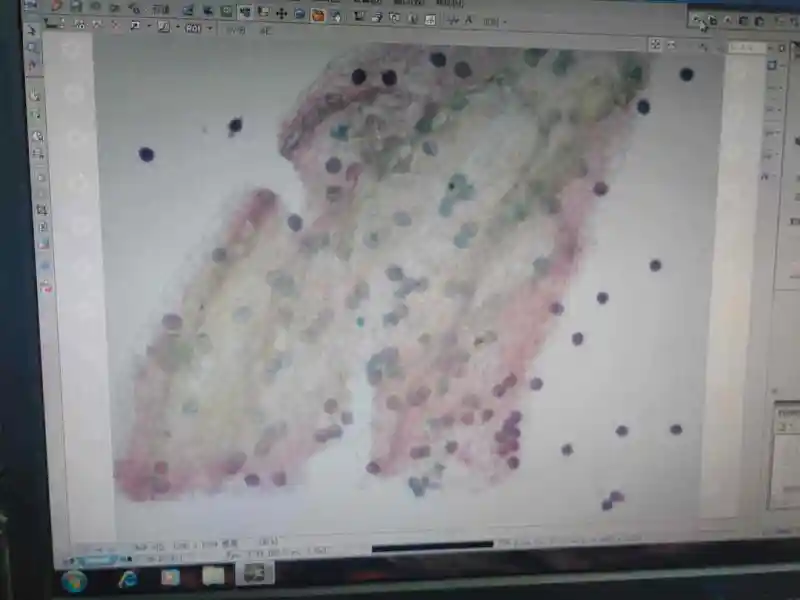 研究性学习实验
