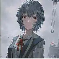 用户头像