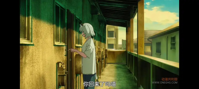雅尼猫,尼古喵喵,动画,动漫,番剧,日漫,二次元,ACG
