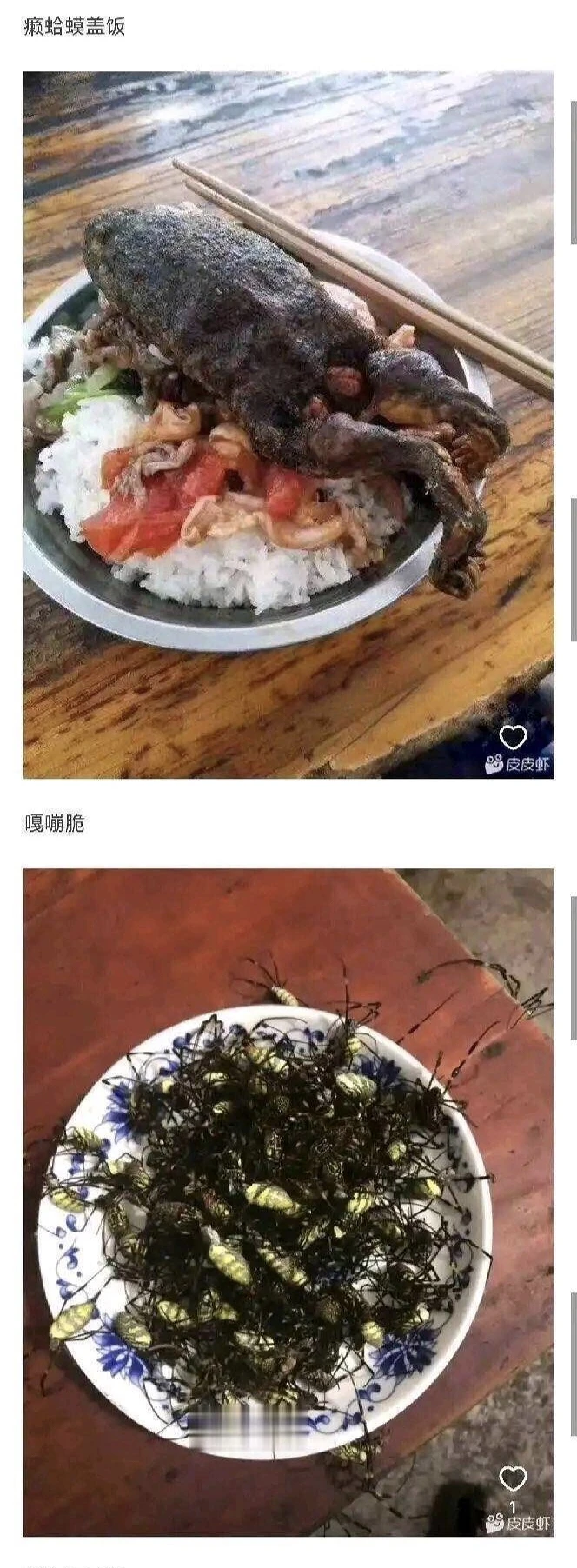 四菜一汤,饭菜,黑暗料理