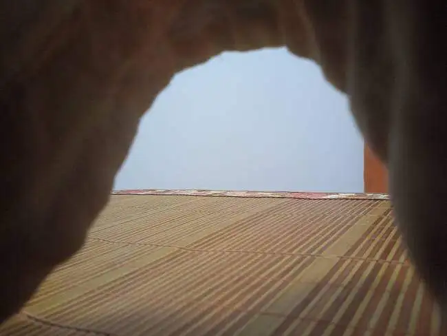 我的房间突然闯进了一个恐怖生物！！！！