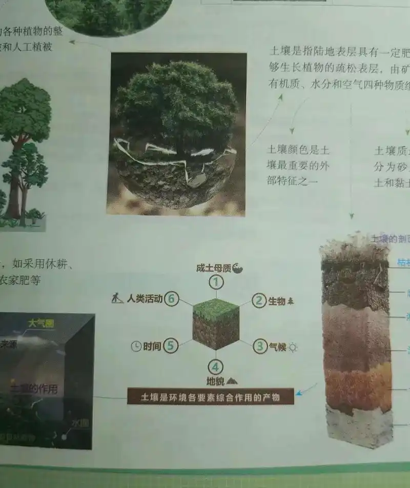 闲聊茶馆,我的世界
