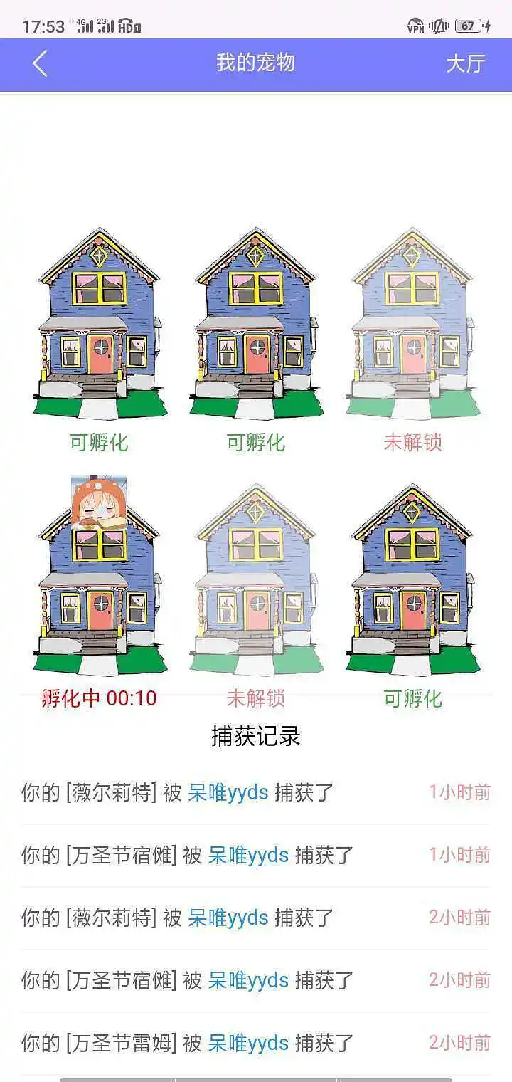 新人报道,新人,宠物