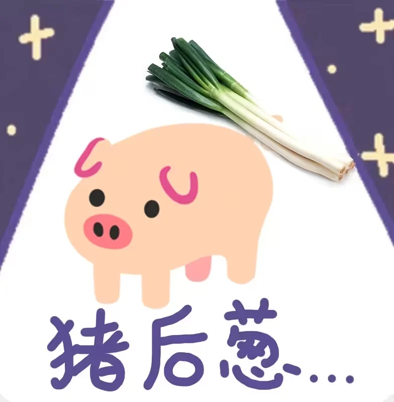 猪猪表情包,不准备,谷歌猪