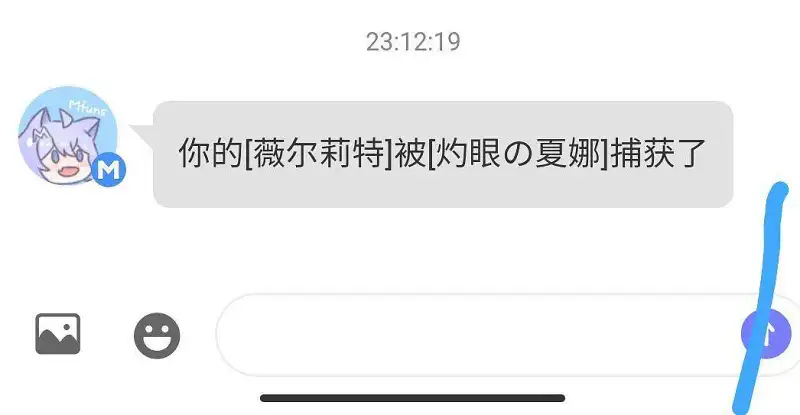 闲聊茶馆,宠物