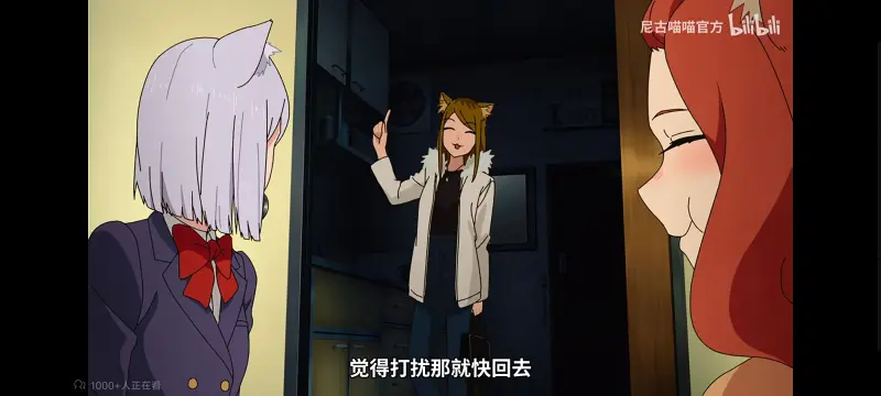 尼古喵喵,雅尼猫,动画,动漫,番剧,ACG,日漫,二次元