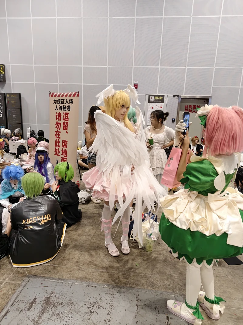 漫展,二次元,东方project,术力口,初音未来,镜音双子,特摄,奥特曼,Minecraft,痛车