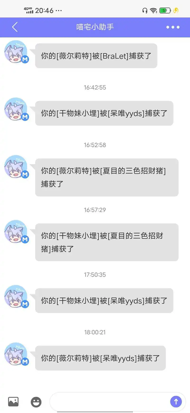 宠物