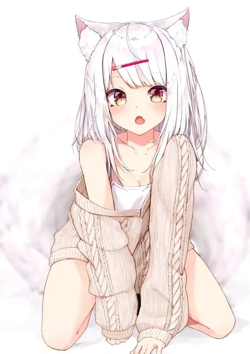 新人报道,M站拜年祭