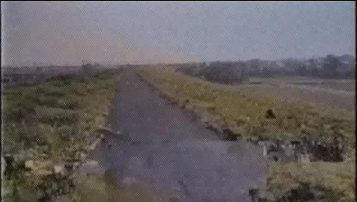 ゆめのなか
